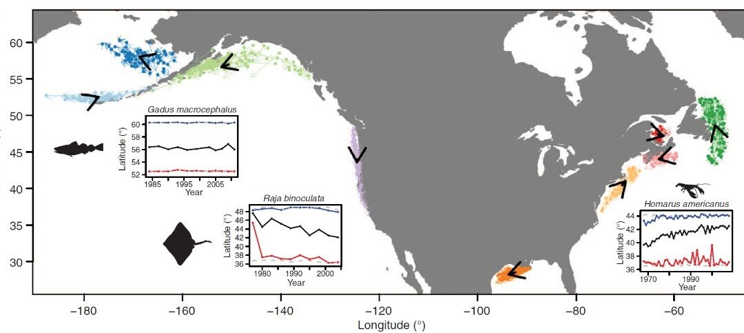 Hay que ponerse en acción: la pesca sufre ya los efectos del cambio climático