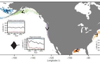 Hay que ponerse en acción: la pesca sufre ya los efectos del cambio climático