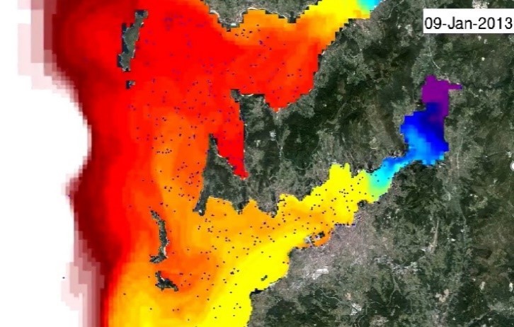 distribucion larvaria mejillon ria de vigo