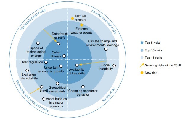 top-riesgos-2020