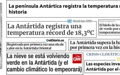 Las aguas de la península Antártica seguirán sin protección durante al menos un año más