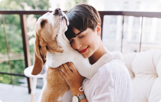 Tu mascota es un miembro más de la familia